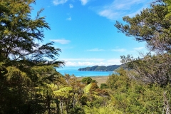 Abel Tasman National Park - 26