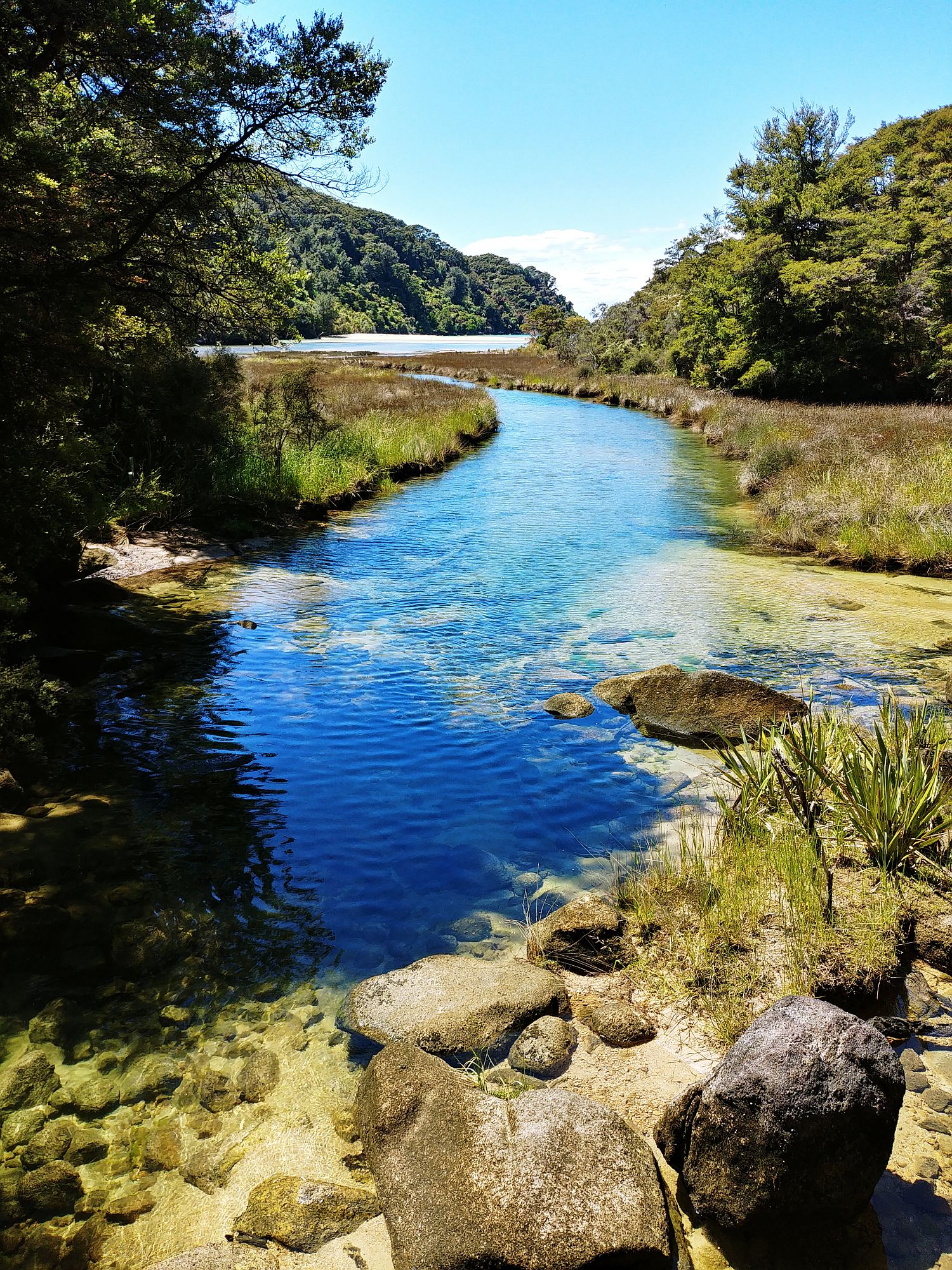 Abel Tasman National Park - 22