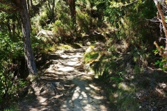 Abel Tasman National Park - 05 - The trail