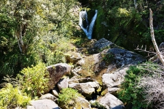 Abel Tasman National Park - 08 - Waterfall