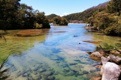 Abel Tasman National Park - 09 - Creek