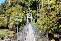Abel Tasman National Park - 10 - Suspension bridge