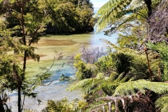 Abel Tasman National Park - 12