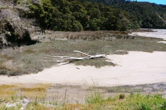 Abel Tasman National Park - 24