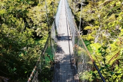 Abel Tasman National Park - 06 - Falls River Bridge