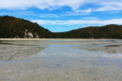 Abel Tasman National Park - 21 - Low tide
