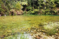 Abel Tasman National Park - 10 - Torrent River