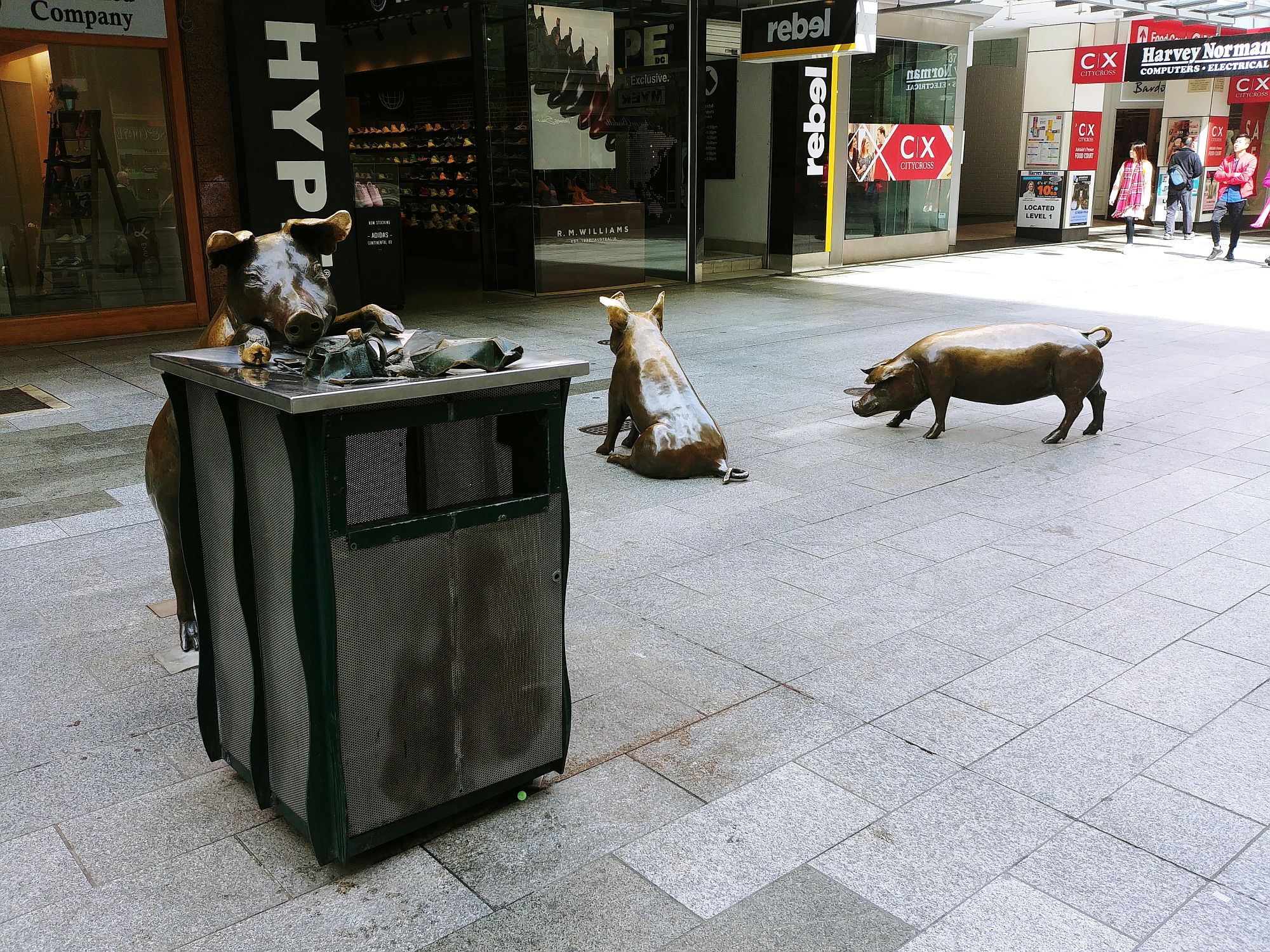 Adelaide - Pig statue - Oliver, Horatio and Truffles