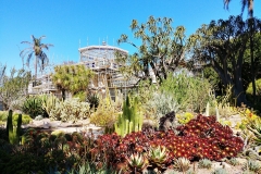 Adelaide - Botanic Garden 02 - Cactus garden