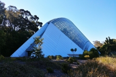 Adelaide - Botanic Garden 16 - Bicentennial conservatory