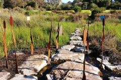 Adelaide - Botanic Garden 23 - First creek wetland