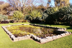 Adelaide - Botanic Garden 24
