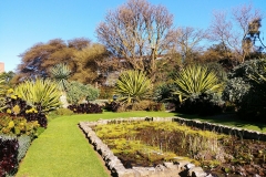 Adelaide - Botanic Garden 25