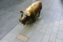 Adelaide - Pig statue - Augusta