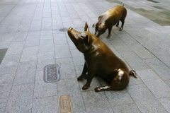 Adelaide - Pig statue - Horatio and Truffles