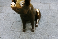 Adelaide - Pig statue - Horatio
