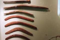 Adelaide - South Australian Museum - Boomerangs 01