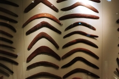 Adelaide - South Australian Museum - Boomerangs - South Eastern and Western Australia