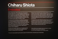 Adelaide - The Art Gallery of South Australia - Chiharu Shiota