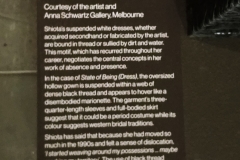 Adelaide - The Art Gallery of South Australia - State of Being - Dress - sign