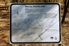 Alice Springs - Botanical Garden - Mulga woodland sign