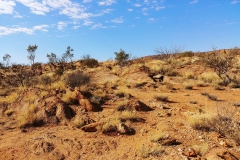 Alice Springs - Olive Pink Botanical Garden - Annie Myers Hill3