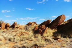 Alice Springs - Olive Pink Botanical Garden - Annie Myers Hill5