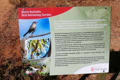 Alice Springs - Olive Pink Botanical Garden - Bird attracting garden