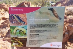 Alice Springs - Olive Pink Botanical Garden - Caterpillar Story