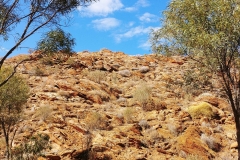 Alice Springs - Olive Pink Botanical Garden - Hill
