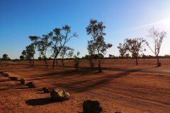 Morning in the centre of Australia