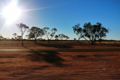 Morning in the centre of Australia02