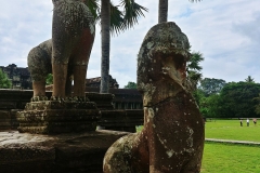 Angkor Wat - monkeys