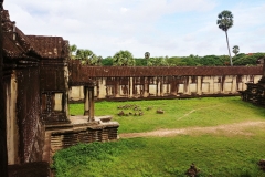 Angkor Wat - patio