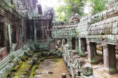 Banteay Kdei - shades of green