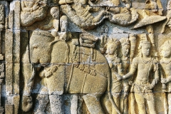 Borobudur - Bas-relief - Elephant