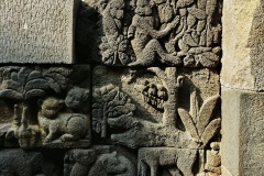 Borobudur - Bas-relief - Monkeys