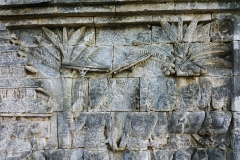 Borobudur - Bas-relief - Palm trees
