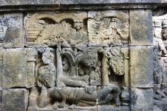 Borobudur - Bas-relief - Sleeping