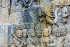 Borobudur - Bas-relief - War elephant
