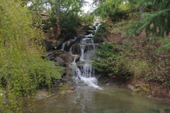 Botanic Gardens - 17 - Waterfalls