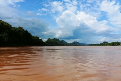 Botanical gardens - Mekong upstream