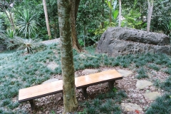Botanical gardens - bench