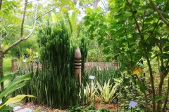 Botanical gardens - ethno-botanic garden2
