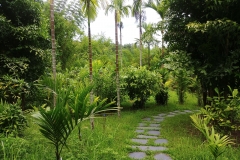Botanical gardens - palm garden