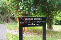 Botanical gardens - please walk on the grass