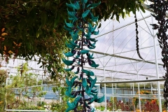 Butterfly Farm - Blue-green hanging thingy