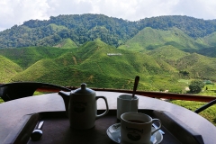 Cameron Valley Tea Plantation - Tea time