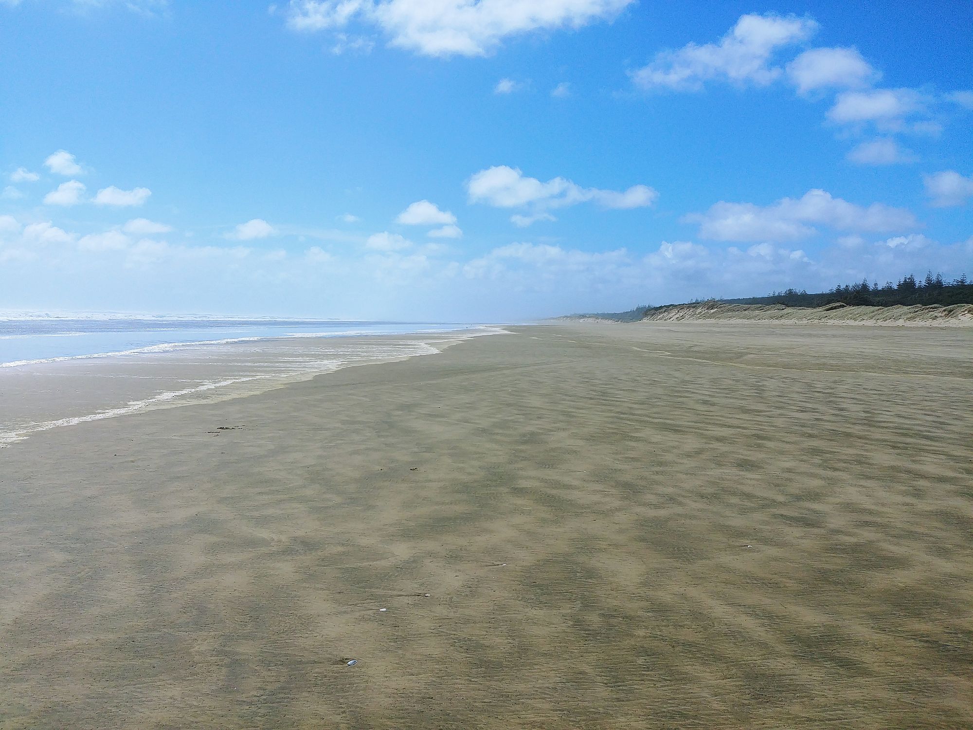 Ninety Mile Beach - 06