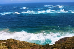 Cap Reinga - 10 - Tasmanian Sea meets Pacific Ocean